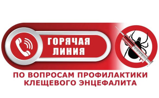 О работе «горячей линии» по профилактике КВЭ. О работе «горячей линии» по профилактике КВЭ.
